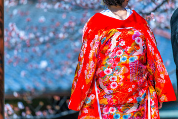 京都・着物姿の女性