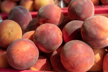 peaches at the market