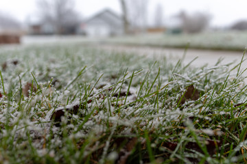 snow on grass