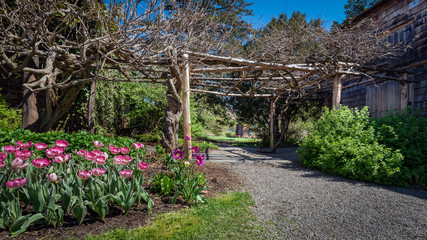 Tuplip bed, gravel path, and gazebo at the entrance to a public garden
