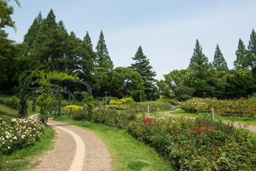 靭公園