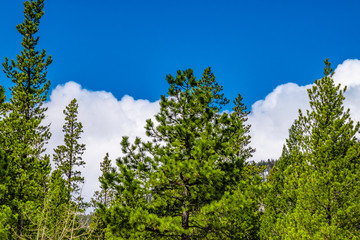 Beautiful Spring Hike to Frozen Ouzel Falls in Rocky Mountain National Park in Colorado 