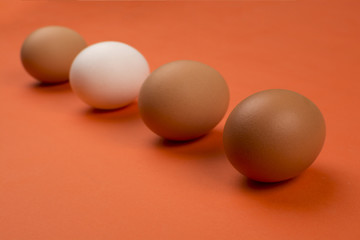 Eggs on a red background.