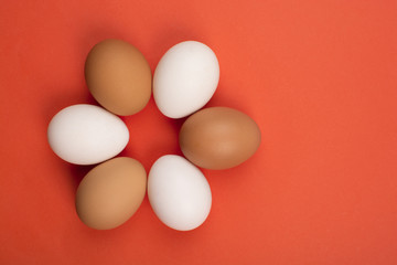 Eggs on a red background.