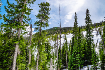 Beautiful Spring Hike to Frozen Ouzel Falls in Rocky Mountain National Park in Colorado 