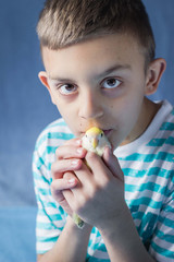 Naklejka premium Cute, little boy holding a parrot, kissing him. Blue background.