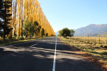 Camino a la montaña