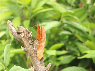 The amazing colors of the sunset