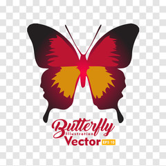 colorful Butterfly illustration vector collection