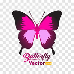 colorful Butterfly illustration vector collection