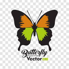 colorful Butterfly illustration vector collection