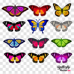 Obraz na płótnie Canvas 12 set butterflies, isolated on transparent background