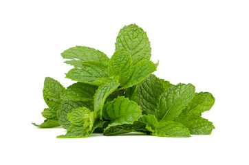 Fresh mint leaves isolated on white background.