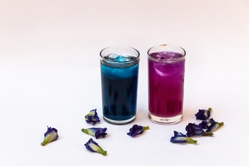 Butterfly Pea Flower tea made from the Clitoria ternatea plant. The caffeine-free herbal beverage. This tea can change colors from blue to violet or pink depending on the pH form lemon or citrus juice