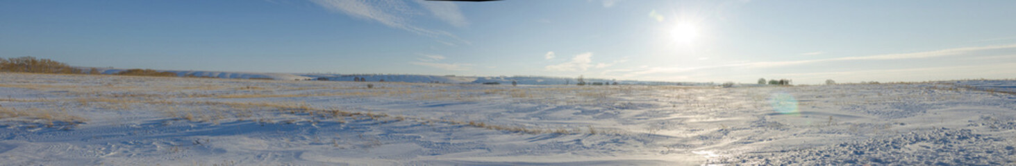 Obraz premium Winter landscape in Siberian field