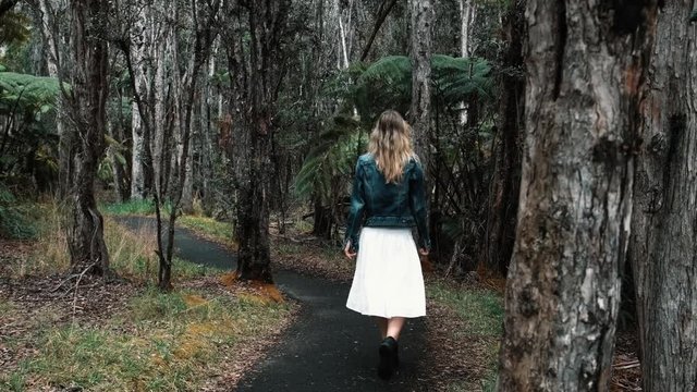 Walking In The Forrest