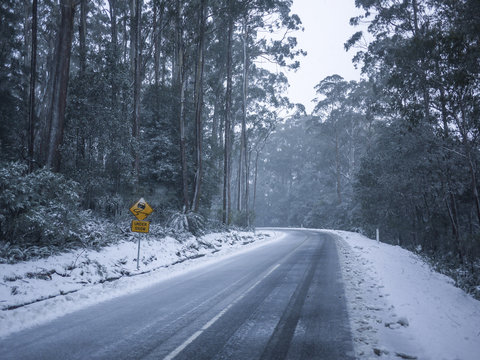 Slippery road warning sign for car drivers on side of a snow covered road. Icy scenic mountain route in winter forest. Mt Donna Buang, VIC Australia