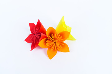 Origami kusudama flower stands in a row against a white background. Rainbow color.