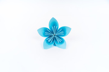 Origami kusudama blue flower stands in a row against a white background. Rainbow color.
