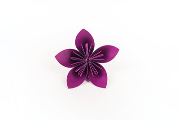 Origami kusudama Violet flower stands in a row against a white background. Rainbow color.