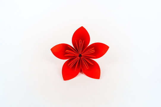 Origami kusudama Red flower stands in a row against a white background. Rainbow color.