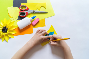 hands of the child makes an odd flower paper out of sunflower. Yellow plant summer. The creative process.