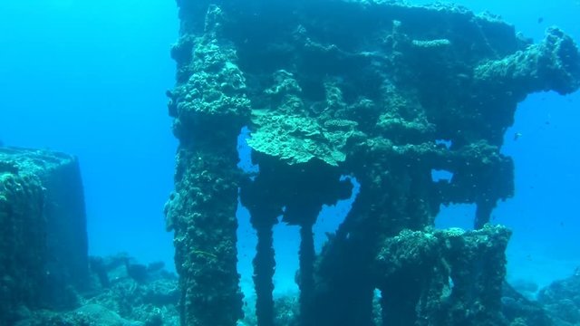 小笠原の沈船　バラ沈　雲海丸