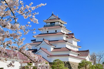 春の鶴ヶ城（福島県・会津若松市）