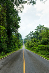Fototapeta na wymiar Empty asphalt road through the green forest