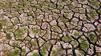 Dry soil rise of growing weed