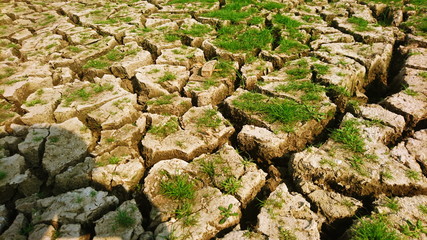 Dry soil rise of grow weed