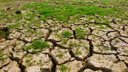 Dry soil rise of grow weed