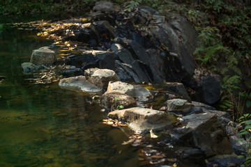 Forest, River, Spring - Flowing Water, Water, Woodland