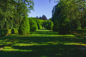 green grass walkway