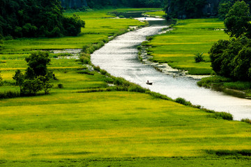 Paddy fields along a stream in Tam Coc, Ninh Binh province, Vietnam