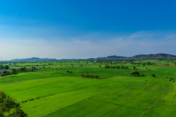 Fototapeta na wymiar Landscape of sky with rice fields