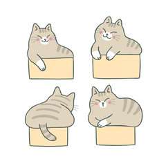 Cartoon cute cat and box vector.