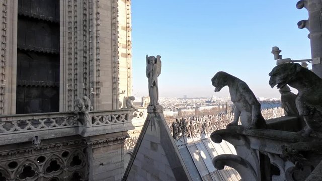 4K, Statue and gargoyle on the roof of Notre Dame cathedral in Paris while observing the city from top of church. Gothic French cathedral. Famous touristic places and popular travel destinations-Dan