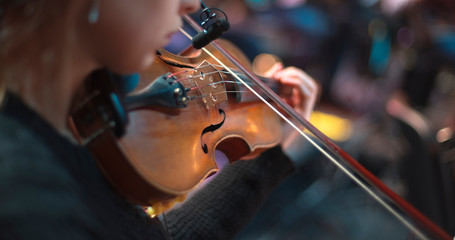 violin at a concert