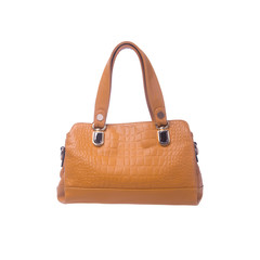 bag or women bag with concept on background.