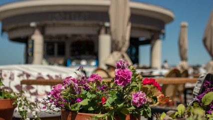 decorated with flowers and street cafes in Odesa, blurred background