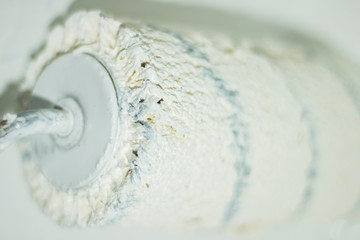 Close up of a color paint roller