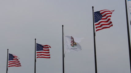 American Flags with Illinois flag