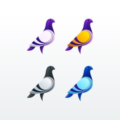 Pigeon character color illustration Vector Template