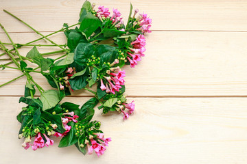 Bouquet of pink flowers on wooden table