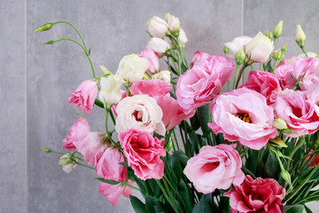 Pink lisianthus (eustoma) flowers.
