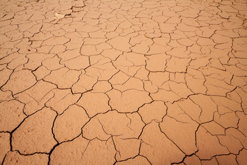 Dry cracked earth background, soil ground texture