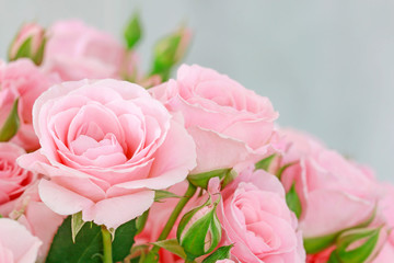 Fototapeta na wymiar Beautiful pink roses background.