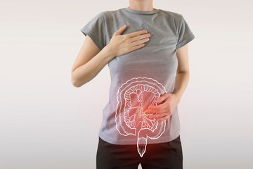 Digital composite of highlighted redinjured or infected intestine of woman