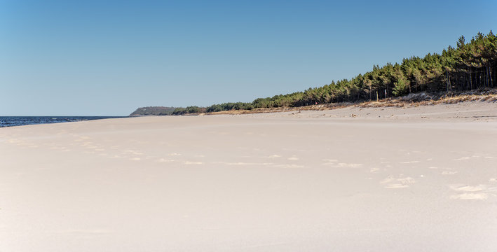 Wald Natur Karwia Strand